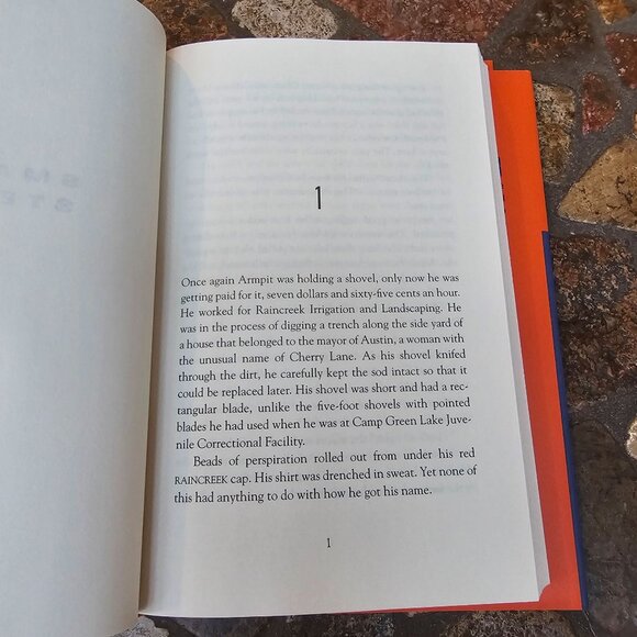 Small Steps By Louis Sachar Hardcover 2006 Delacorte Press - Picture 4 of 9